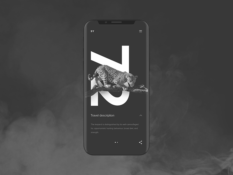 Brand identity for silicon valley startup